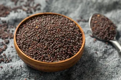 Image de Graines de moutarde