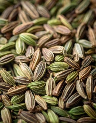 Image de Graines de fenouil